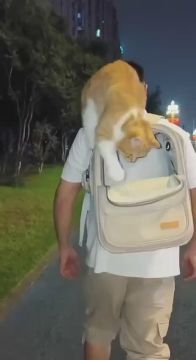 Вот и вечер. Когда уставший идешь с работы домой