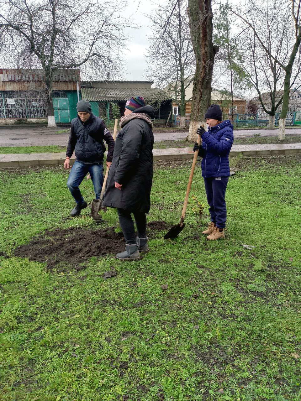 В центральном парке села Тимошевка высажены деревья в рамках акции «Сад памяти» В центральном парке села Тимошевка высажены деревья в рамках акции «Сад памяти»