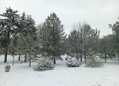 ������ ��� ������� ����! ����� ����� ���� ���������� ����� � � ���������� �����������! ������ ������������ ���, ���������� ������������ �����, �������� � �������!