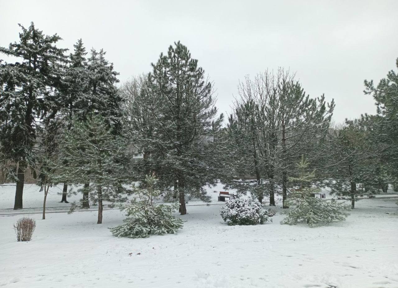 Желаем вам доброго утра! Пусть новый день начинается легко и с прекрасным настроением! Желаем безоблачного дня, достижения поставленных целей, комфорта и радости!