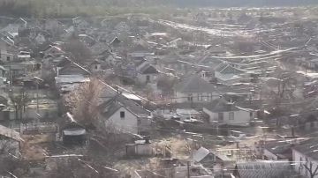 ������ ����������� �����. ����������� �������� �����������