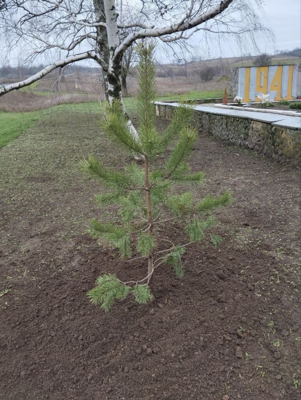 �����, ����� �������. � ���� �����������, ��������������� � ���������� �������� ���, ����� � ����� � ������ ����� ���� ������