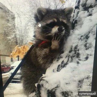 Доброе утро, друзья! Хорошего вам дня и отличного настроения!