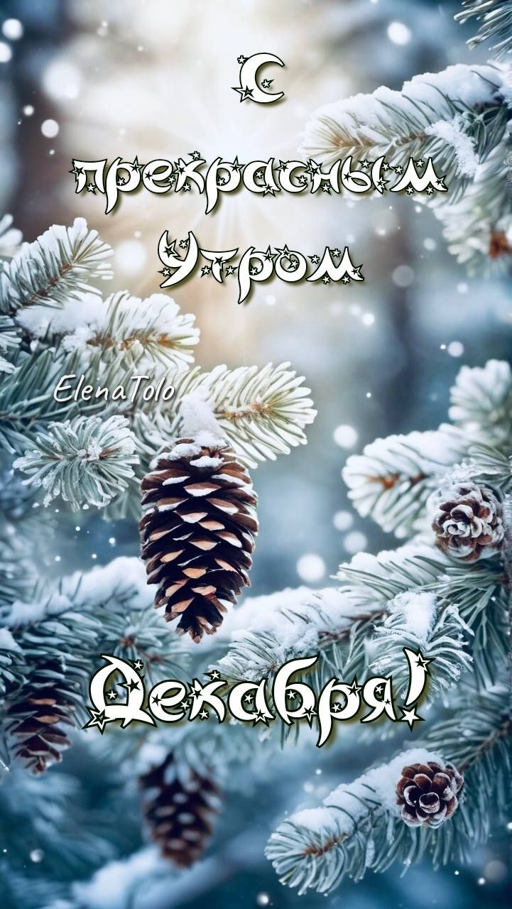 Доброе утро, Днепрорудное. Пусть день будет позитивным и продуктивным