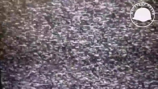 ����������� ��������� ������������� ������� ������� ���-������ �� ��