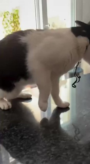 ����� ��������� � ��������