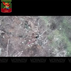 ��������� 38 ������� 35 ����� ������������ ����� ���� ��� � ����������� �������