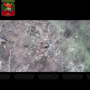 ��������� 38 ������� 35 ����� ������������ ����� ���� ��� � ����������� �������