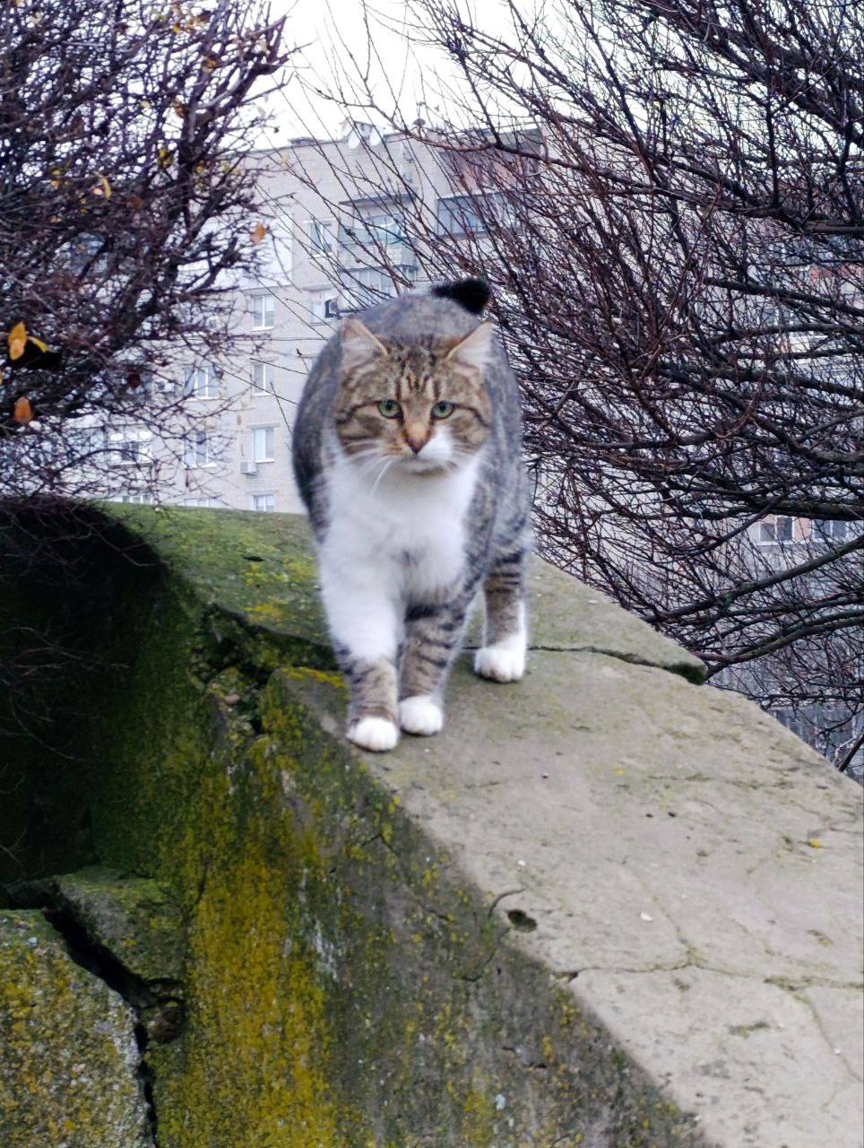 С добрым утром! Наступил новый потрясающий день, полный новых подвигов и побед С добрым утром! Наступил новый потрясающий день, полный новых подвигов и побед