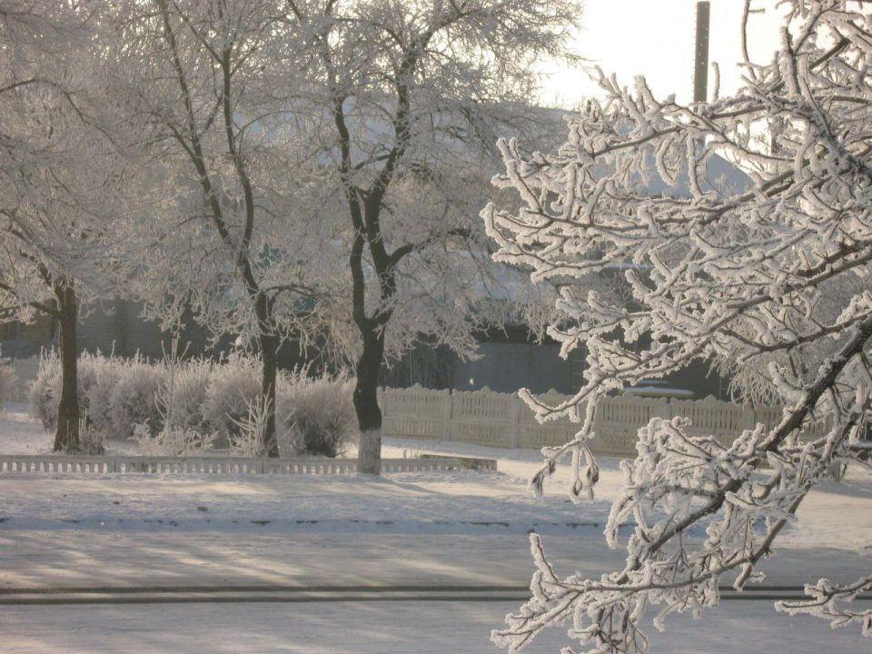 ����-������� "���������� ������"