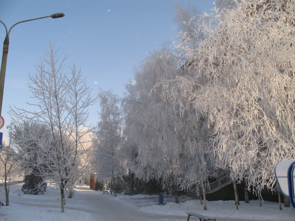 ����-������� "���������� ������"