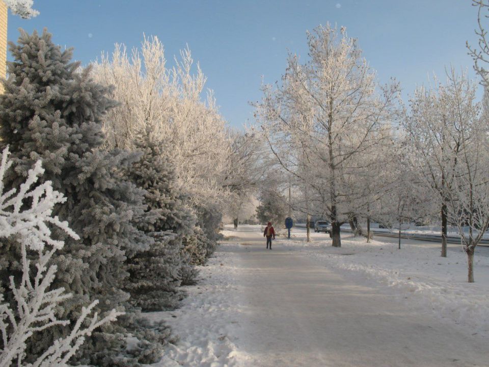 ����-������� "���������� ������"