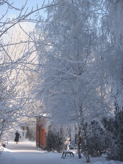 ����-������� "���������� ������"