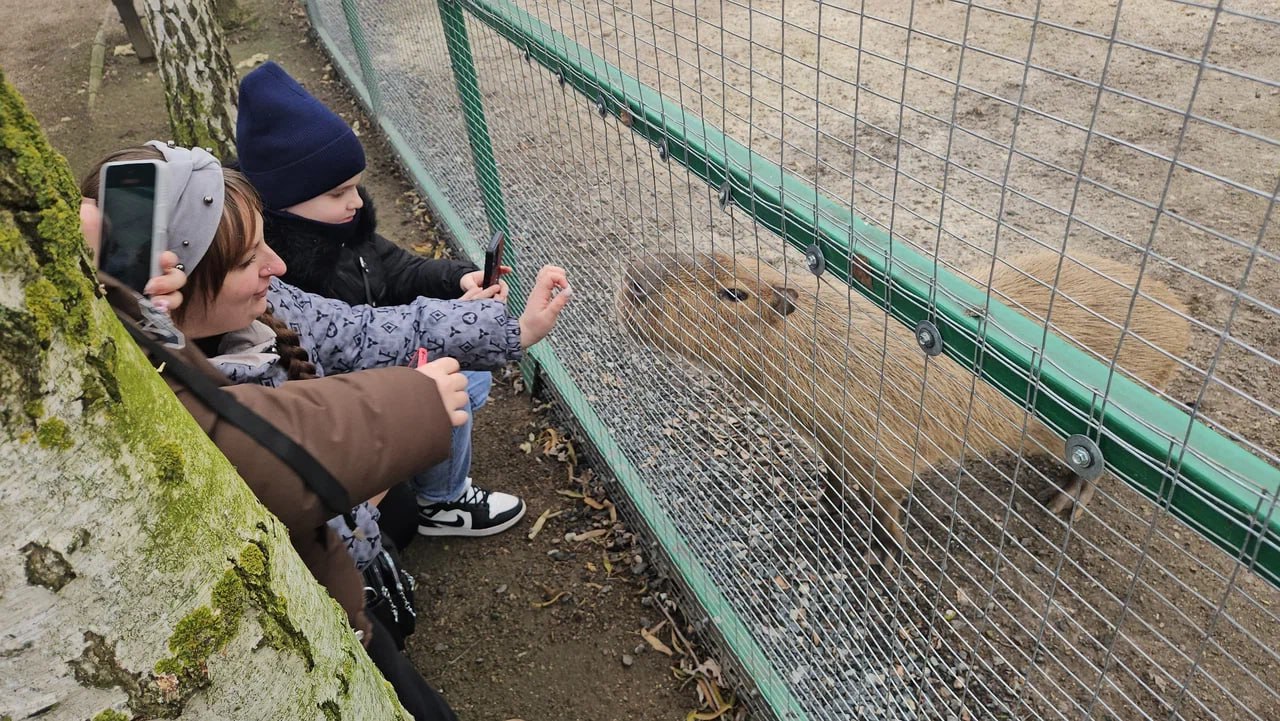 В канун Нового года дети участников СВО посетили бердянский зоопарк В канун Нового года дети участников СВО посетили бердянский зоопарк