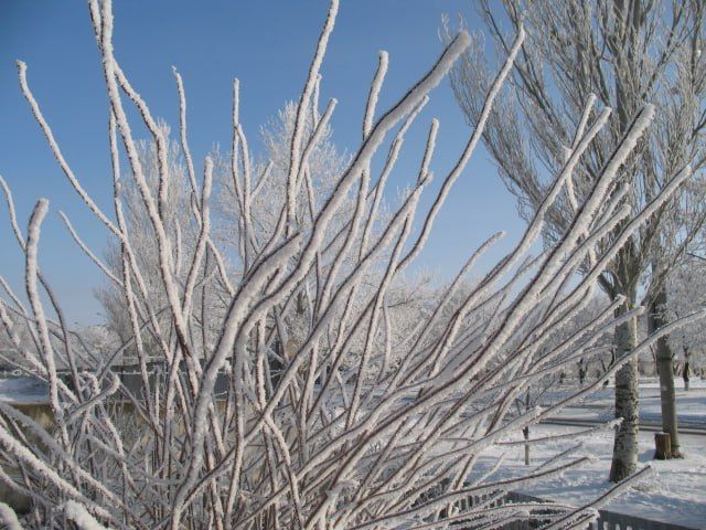 ����-������� "���������� ������"