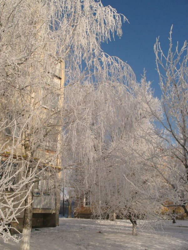 ����-������� "���������� ������"