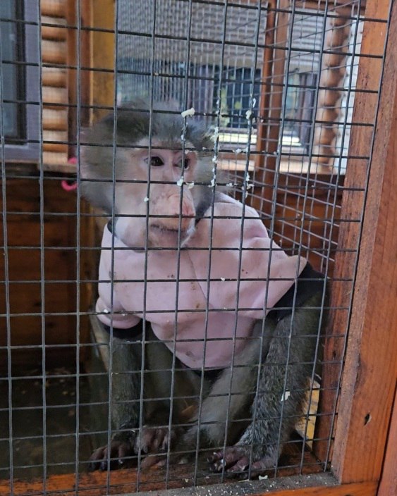 В канун Нового года дети участников СВО посетили бердянский зоопарк В канун Нового года дети участников СВО посетили бердянский зоопарк