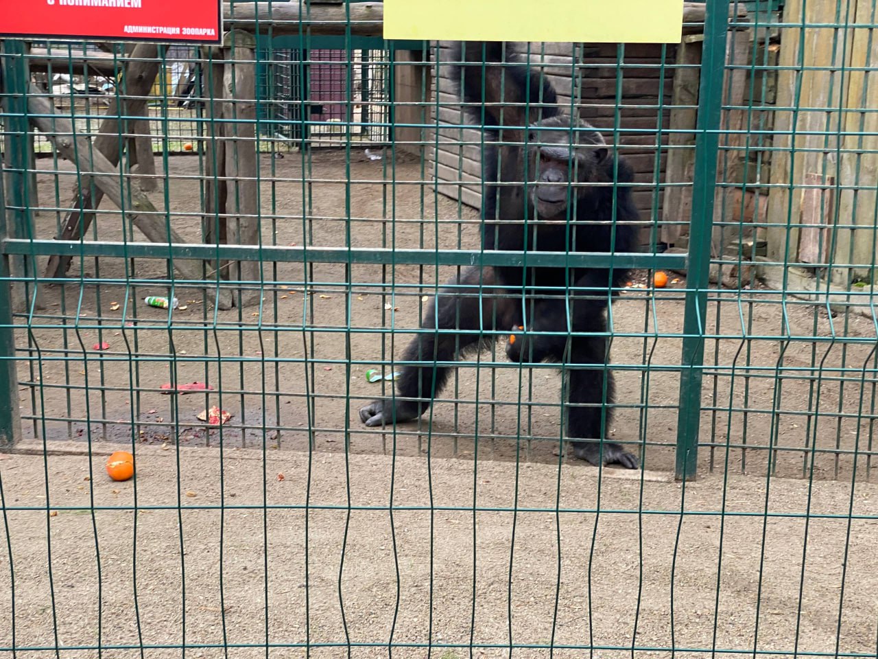 В канун Нового года дети участников СВО посетили бердянский зоопарк В канун Нового года дети участников СВО посетили бердянский зоопарк