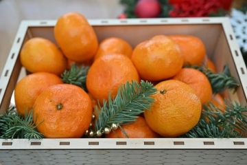 20 ���� ���������� �������� ������� � ����������� �������