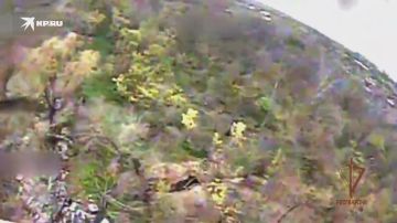 � ����������� ������� ���������� ���������� ������� ���