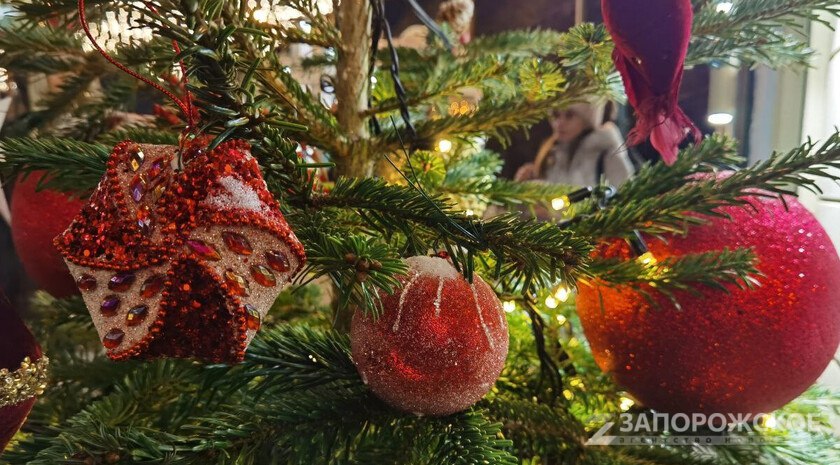 В Запорожскую область приехали волонтеры из Северной Осетии