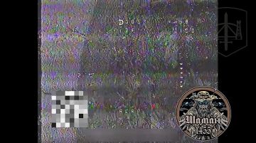 ����������� �����������. ��������� ������ �������������