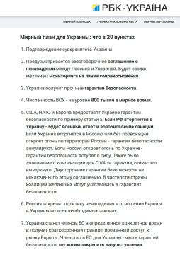 Зеля озвучил свою версию мирного плана из 20 пунктов