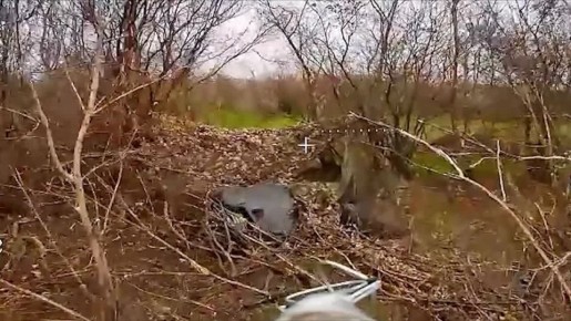 ������� ����� ����������� ������ ����������� ������ ������� ����� �� �������� ��� � ������ ����������� � ������������ ����������� �������