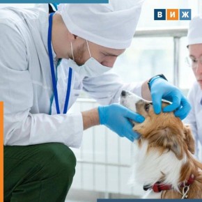 ������ ��������� �������� ������� ���������� ��� ����������� �������� �����