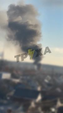 ������� ���������� ���� � ������������ ��������� �������� "������ ������������" ���������� ������� ����� ���������