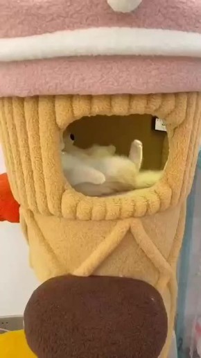 ��� � �����. ������������ ������ � ������� �����