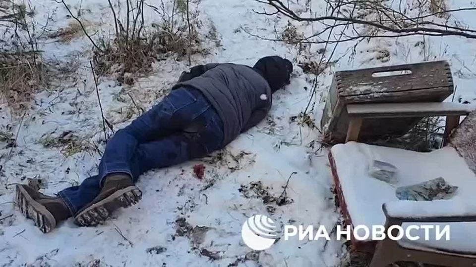 ������ �������: ���������� ��� ������������� ����� ������������ ������������ ������� �������� � ��������� �������, � ��� ����� �� ����������� �������������