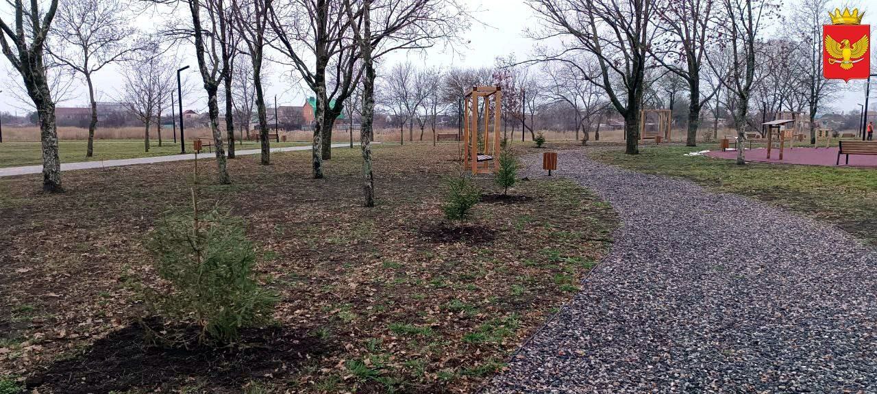 Высадку саженцев деревьев в парке "Юбилейный" произвели на прошлой неделе работники МБУ "Парки и скверы" Высадку саженцев деревьев в парке "Юбилейный" произвели на прошлой неделе работники МБУ "Парки и скверы"