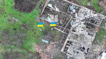 �� ����������-����������������� ������ �� �������� �����