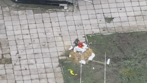 ���� ������������� ��������� �� �������� ��������� ������� ����� � ������ ���������