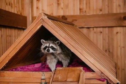 ������ ����, ������� ����������! ������ ����, ���������!