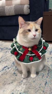 ��� � ����������� ������. ��������� ������� ������ ����� ���� �������� � �����