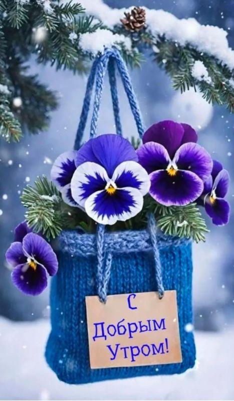 ������ ����, ������������. �������� ����������,����� � ��������