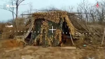 �������� ��� ����������� �����������: ����������� ������� ������������ � ������� �����������