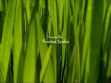 ������!. �� ����� ����������� ��������� ������ ������! ����� ���������, ��� ��� �� �������� ��� ���������� ��������� � ���� ���������� �������������