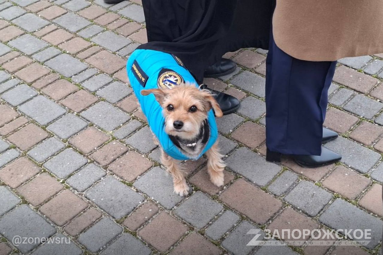ВСКС открыл на базе полигона в Бердянске учебно-тренировочный комплекс ВСКС открыл на базе полигона в Бердянске учебно-тренировочный комплекс