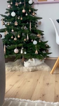 ��� � �����. � �� ������ �� ����� ��������������� � ������ ����? �������������� �� ����������� ������� � MAX, Telegram � ��������� � �������� � ��������