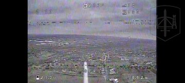 ����������� �����������. ����� ������