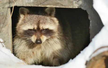 ������ ����, ������! �������� ��� ��� � ��������� ����������!