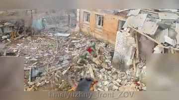 ����� ���������� ������� ������� ���������� �� ����������-����������� �����������