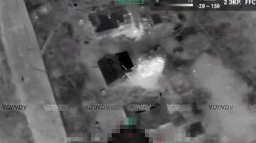 �������� ������ ���������� 5 ����� �� ������ ����� � ���������