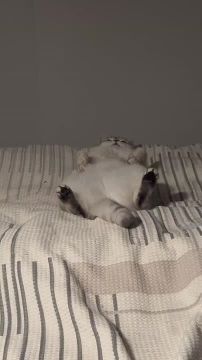 � ��� � ���������� ����. ����� ����� ��� �������� �� ��������, ������� ��������