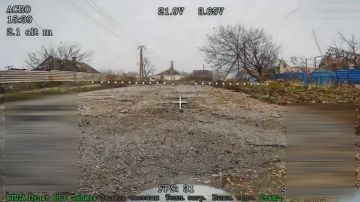 ����������� �����������. ��������� ������ 162 ���������� ����������������� ��������� ���������� ���������� � ��� �������