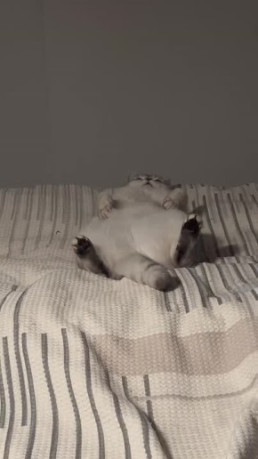 � ��� � ���������� ����. ����� ����� ��� �������� �� ��������, ������� ��������