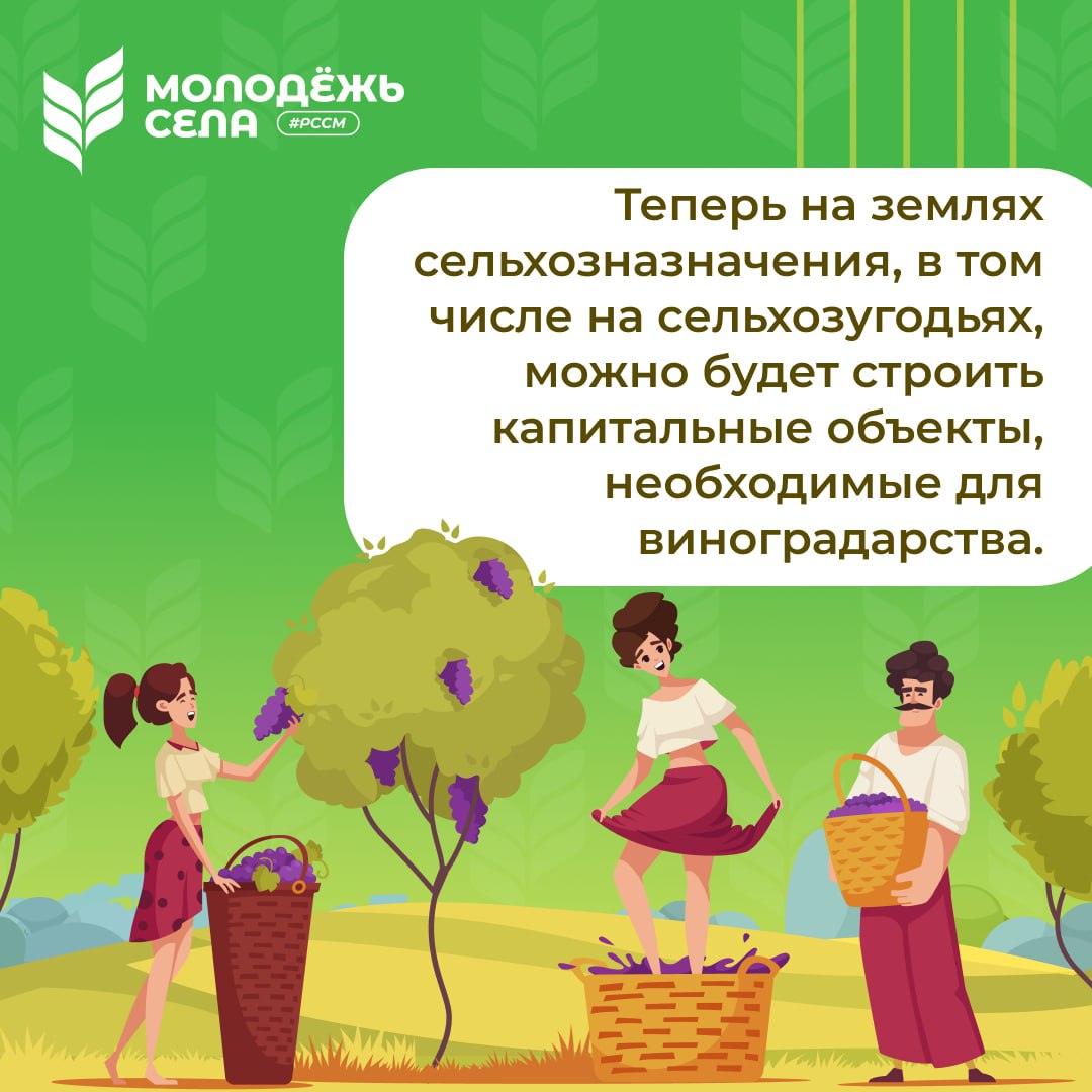 Приняты важные изменения в закон «О виноградарстве и виноделии» Приняты важные изменения в закон «О виноградарстве и виноделии»